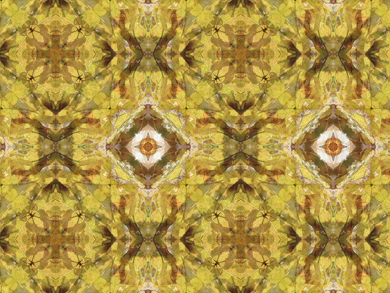 Many red colors in this pattern