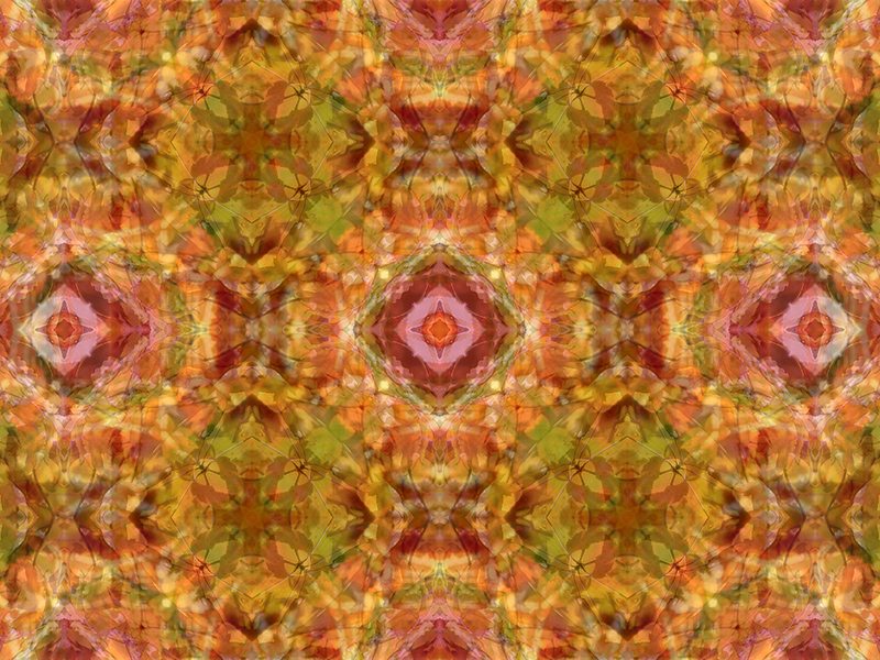 Many red colors in this pattern
