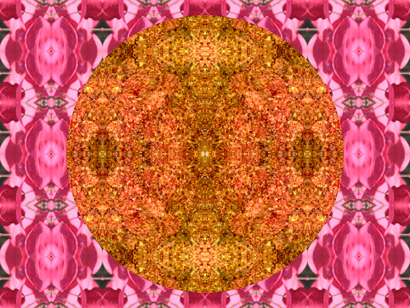Many red colors in this pattern