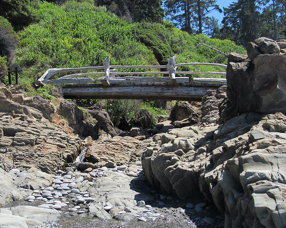 Bridge made of driftwood at Beach 4