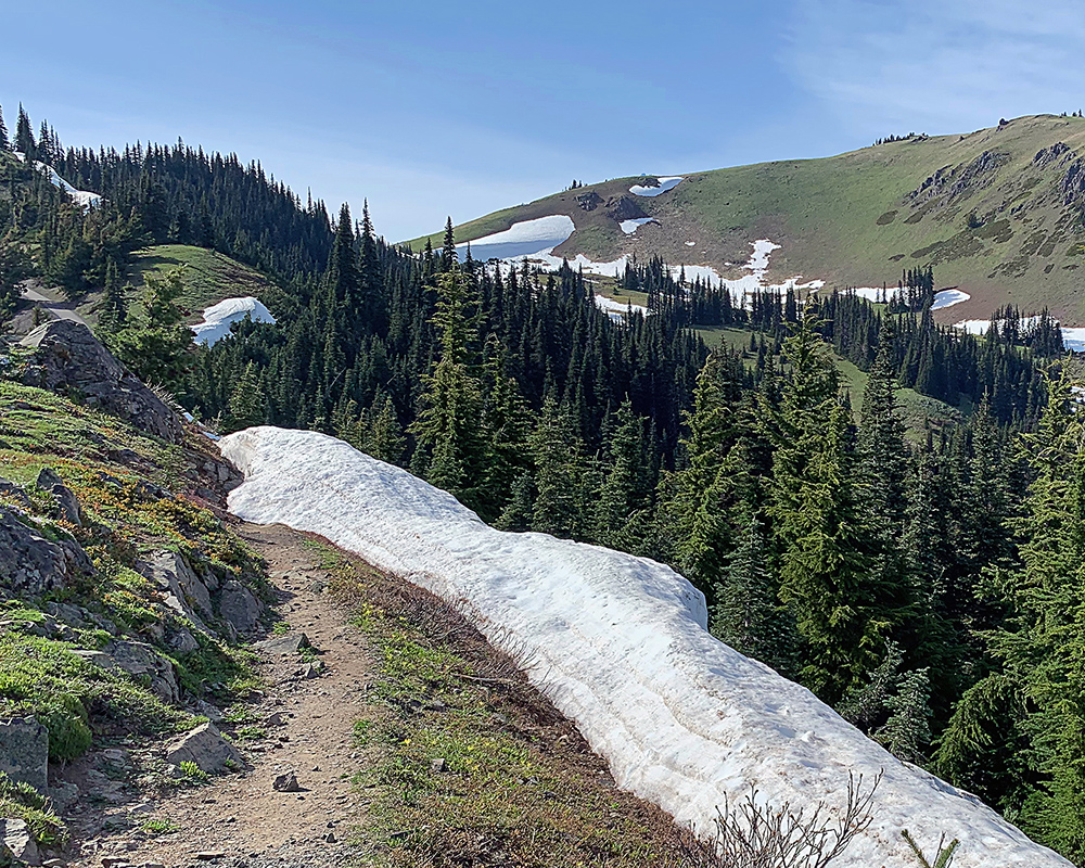 Views from Hurricane Ridge