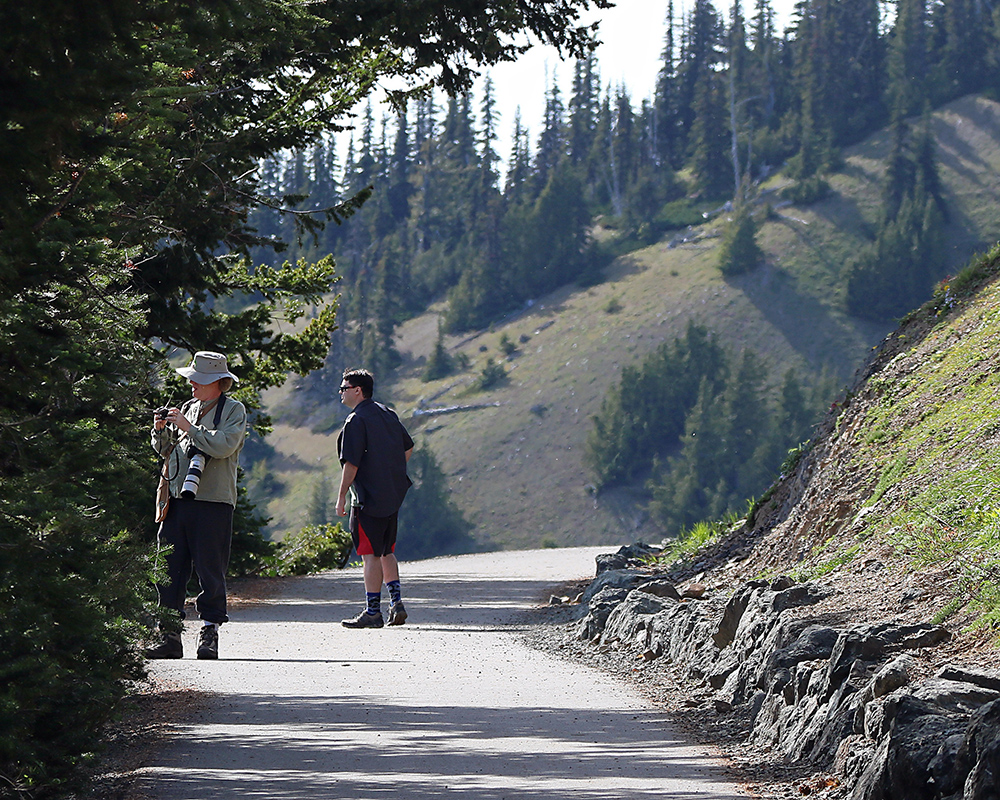 Views from Hurricane Ridge