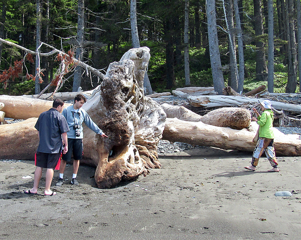 Jeri, Sebastian, and Arthur at Sol Duc Falls