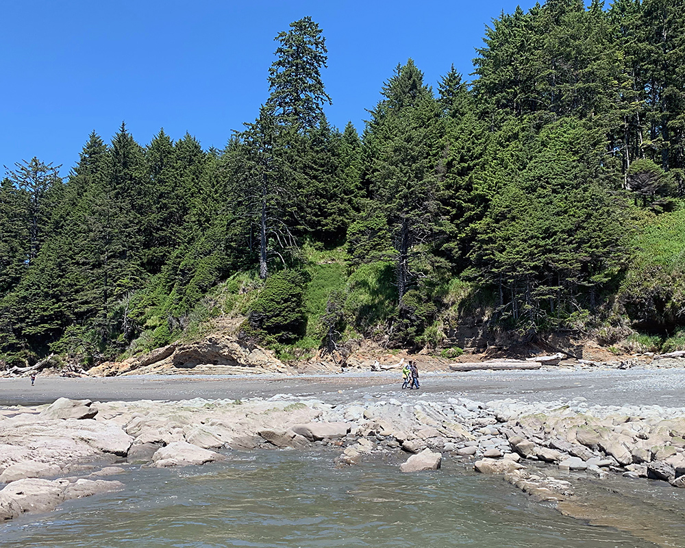 standing in a tidepool, I look at the beach to see Jeri and the boys