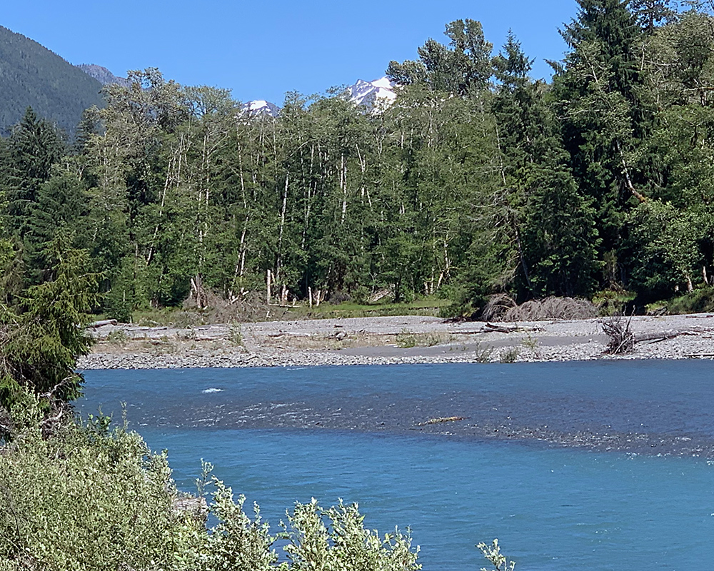blue river with trees on far bank and a peak at snow-covered mountains
