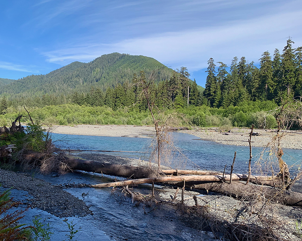 Hoh River with a hill in the background.