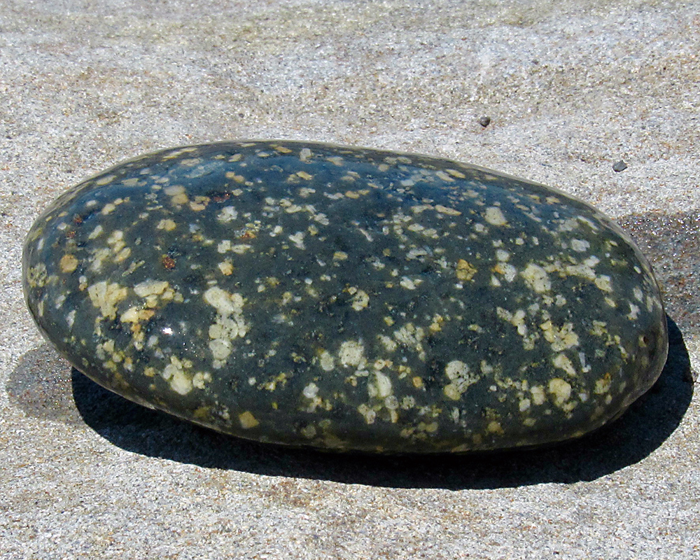 Speckled stone in Olympic National Park