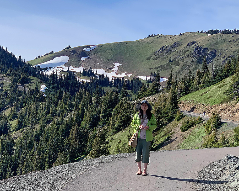 Views from Hurricane Ridge