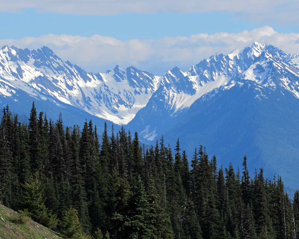 Views from Hurricane Ridge