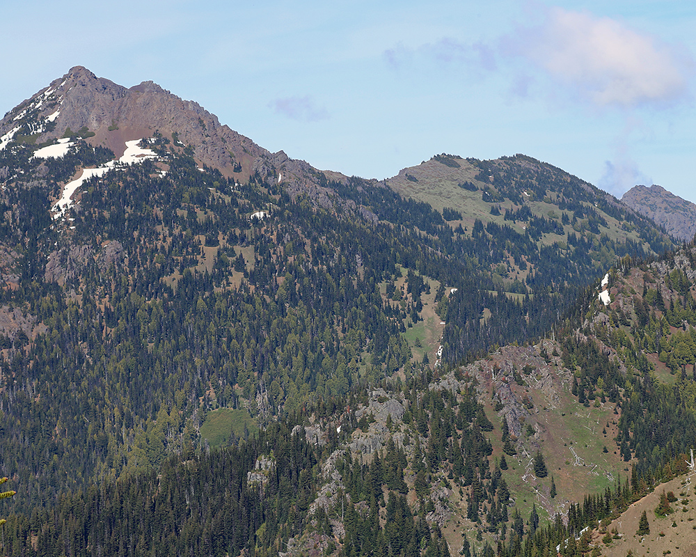 Views from Hurricane Ridge