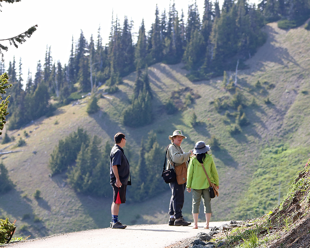 Views from Hurricane Ridge