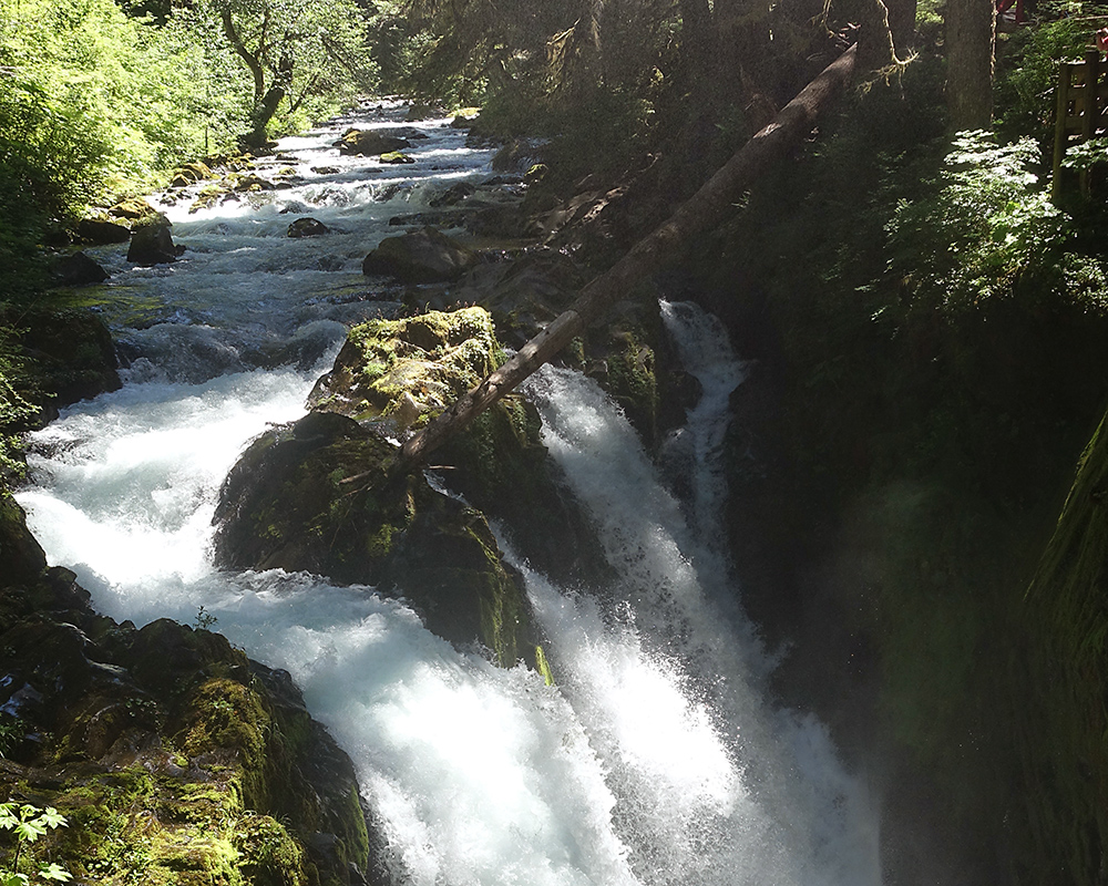 The Sol Duc River falls over a brink into a chasm