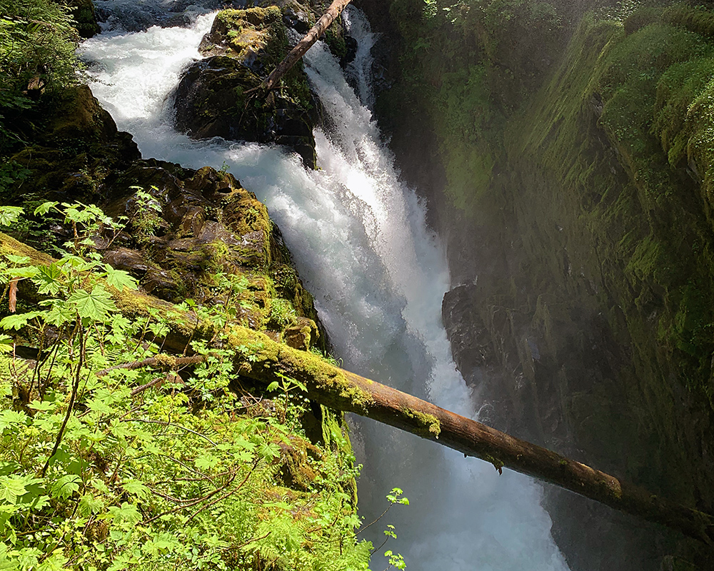 The Sol Duc River falls over a brink into a chasm