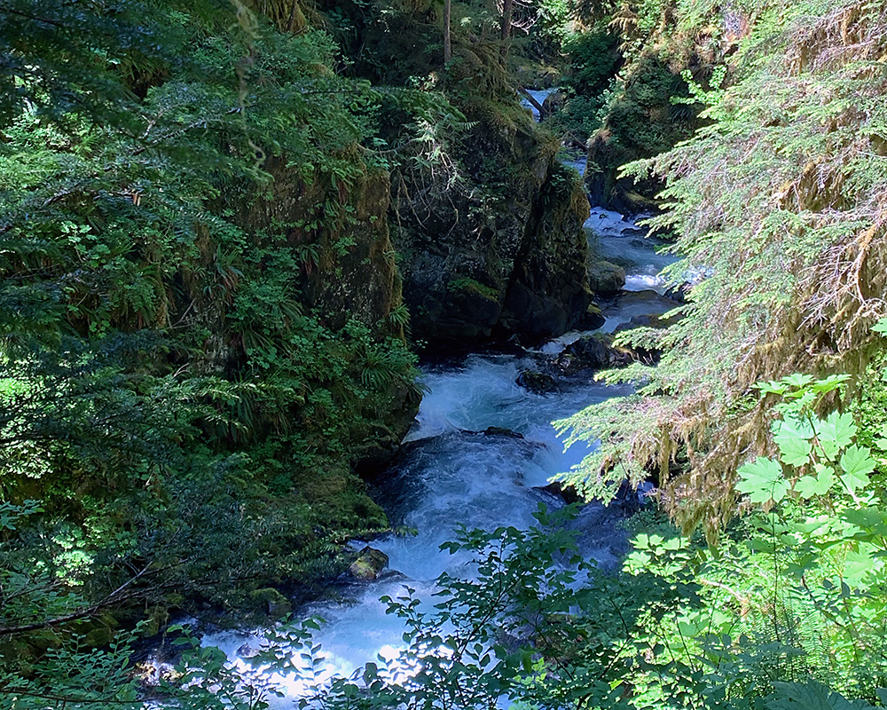 The Sol Duc River
