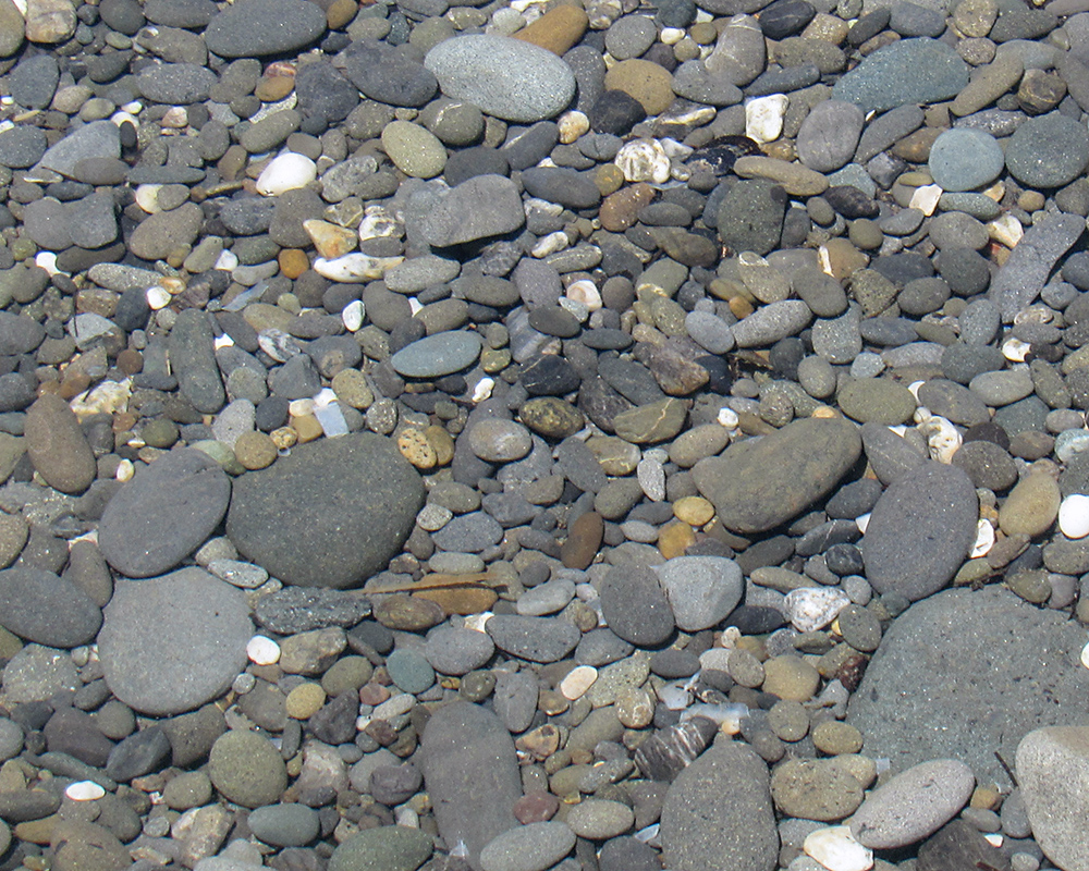 Rocks at Beach 4 are smooth from tumbling and often disk-shaped