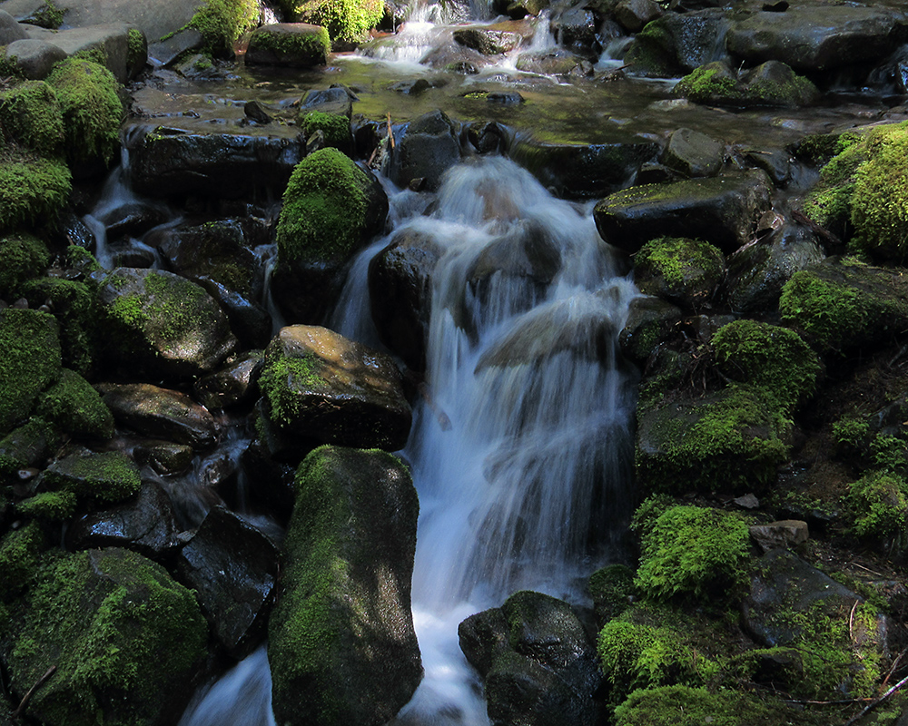 Water over rocks covered with moss