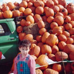 Arthur with pumpkins.