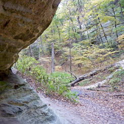 Starved Rock State Park scene of canyon