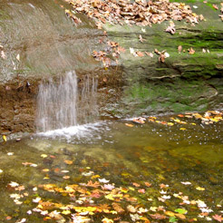 Starved Rock State Park scene of water flowing into a pool with floating leaves