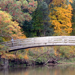 Starved Rock State Park scene of bridge