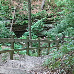 View in Wildcat Den State Park in Iowa