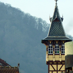 Photograph from our 2010 November trip