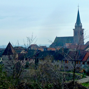 Photograph from our 2010 November trip