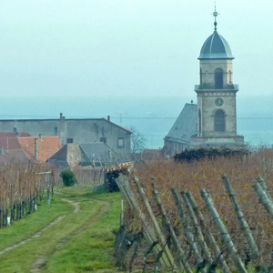 Photograph from our 2010 November trip