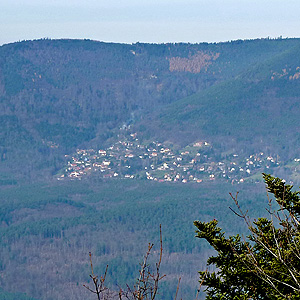 Photograph from our 2010 November trip