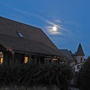 November 2010 photograph