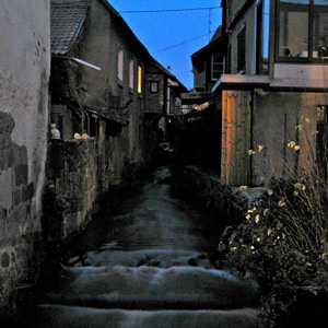 November 2010 photograph