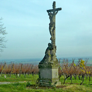 Photograph from our 2010 November trip