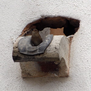 A bird rests in a water duct in Topkapi Palace-Istanbul, Turkey