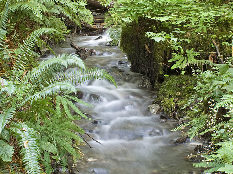 the creek below Bridal Falls