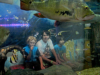 In the aquarium