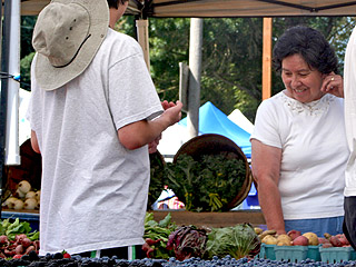 Farmers' Market Rachel Stephens