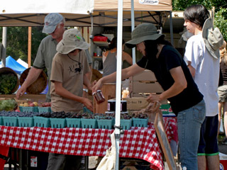 Farmers' Market