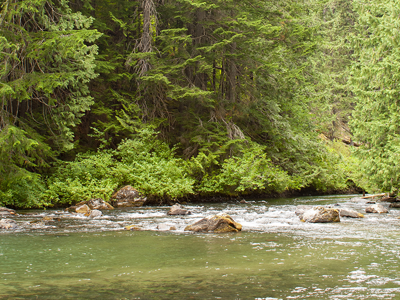 River in mountains