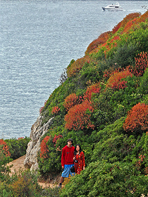 Saint-Jean-Cap-Ferrat