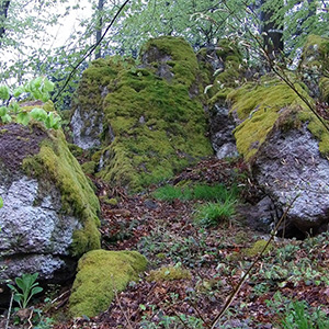 Rocher du Hirschfels