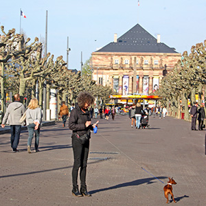 Strasbourg in April