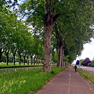 Strasbourg in May