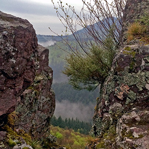 Rocher du Hirschfels