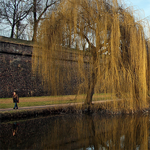 Strasbourg in March