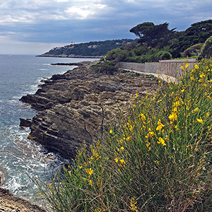 Saint-Jean-Cap-Ferrat