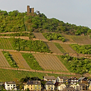 Rhineland