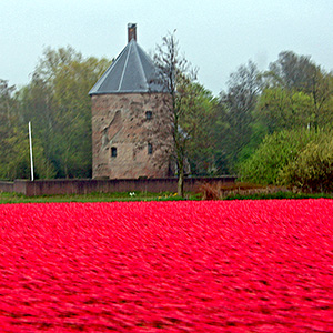 Scene in Denmark.