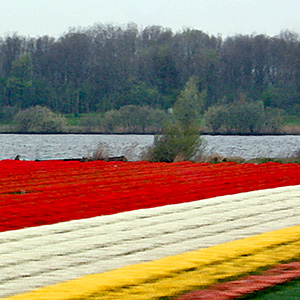 Scene in Denmark.