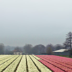 Scene in Denmark.