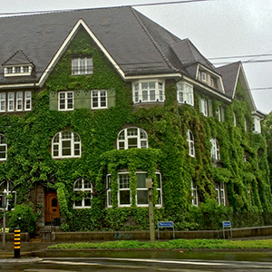 A home in Basel all covered with ivy and other plants